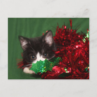 Watching for Santa Holiday Postcard