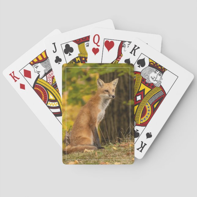 Watching Fox Playing Cards (Back)