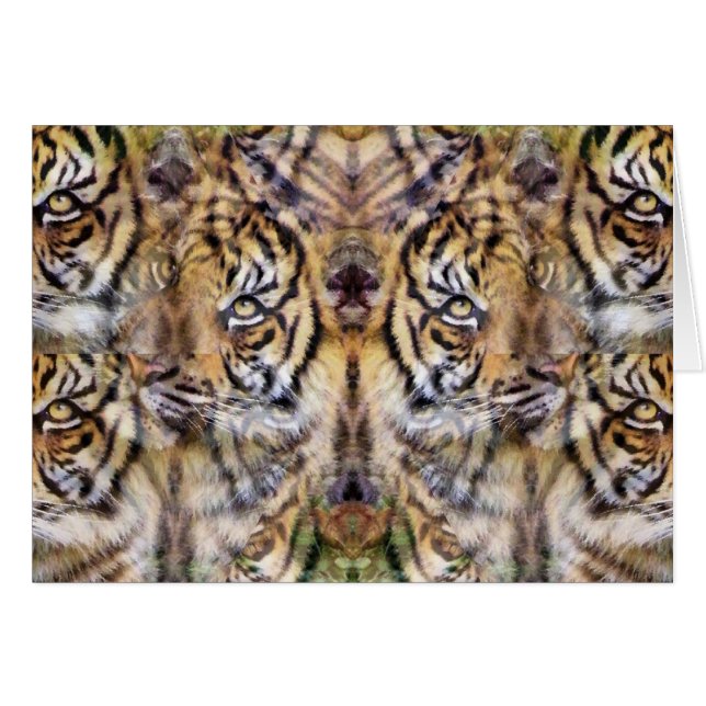 Watching Out_ (Front Horizontal)