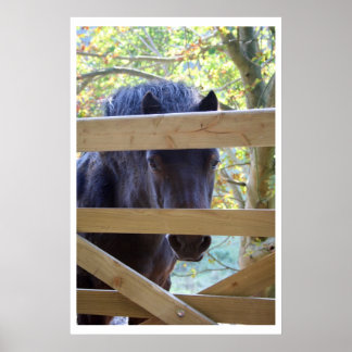 Watching. [Print] Poster