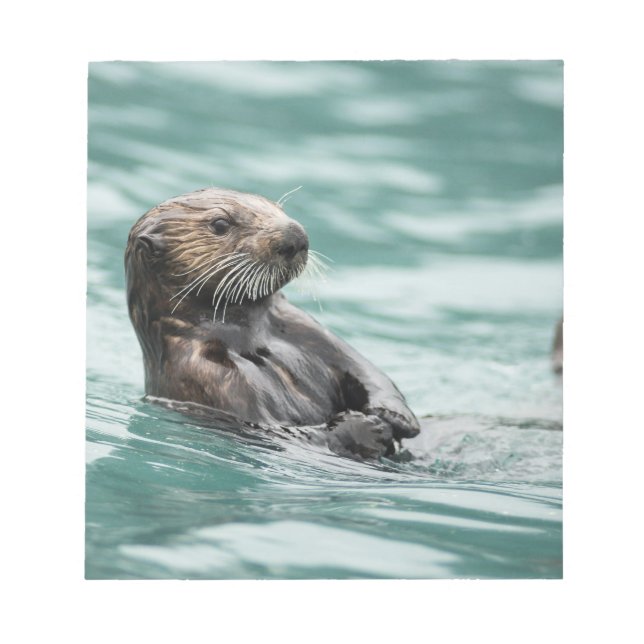 Watching Sea Otter Notepad (Front)