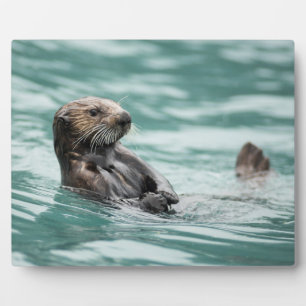 Watching Sea Otter Plaque