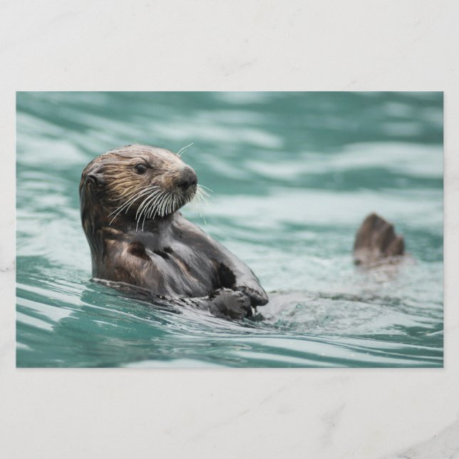 Watching Sea Otter Stationery (Front)