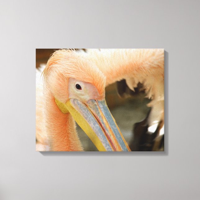Watching You Pelican Canvas Print (Front)