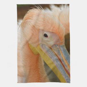 Watching You Pelican Kitchen Towel