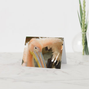 Watching You Pelican Note Card