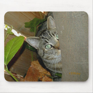 Watching Your Mouse Pad