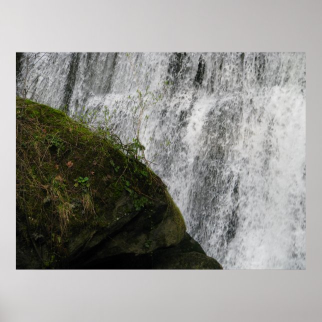 Water and Earth Poster (Front)