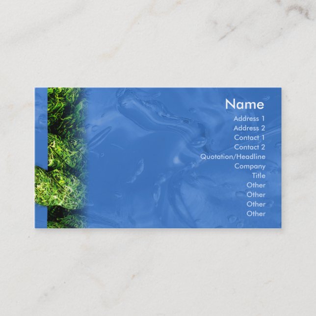 Water and Grass - Business Card (Front)