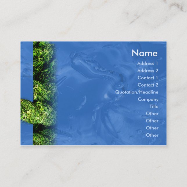 Water and Grass - Chubby Business Card (Front)