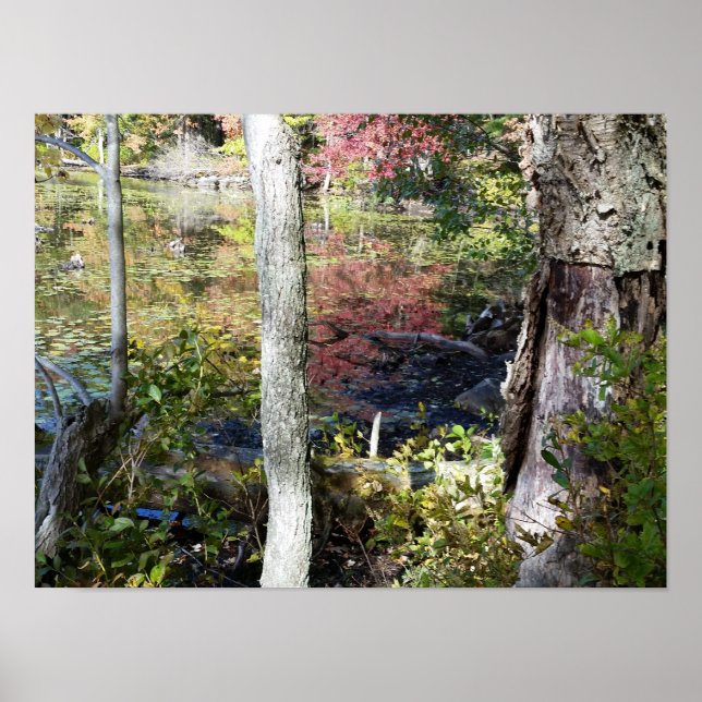 water and trees poster (Front)