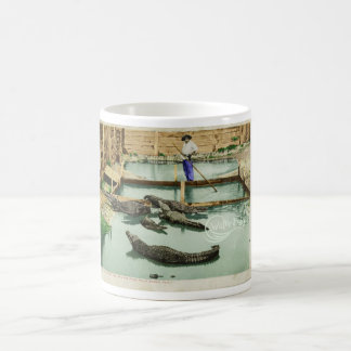 Water Baby Alligator Joe  Coffee Mug