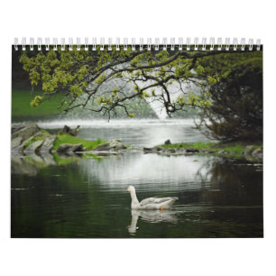 Water Birds Calendar
