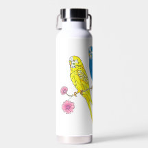 Water Bottle Budgies