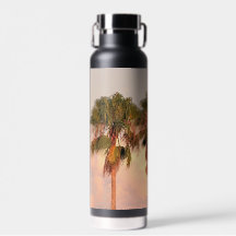 Water Bottle Vacuum Insulated
