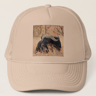 water buffalo trucker hat