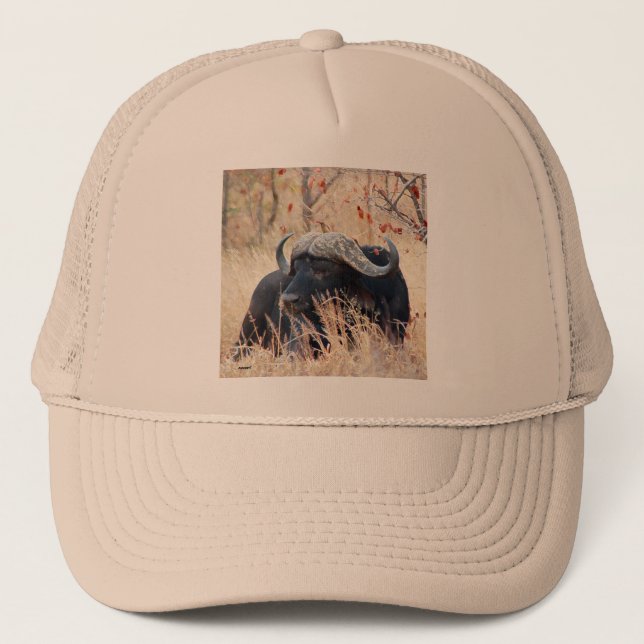 water buffalo trucker hat (Front)
