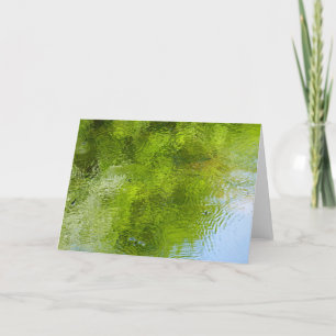 Water Bugs at Laurel Hill State Park Card