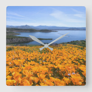 Water   California Lake With Golden Poppies Square Wall Clock