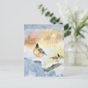 Water Colour Birds postcard