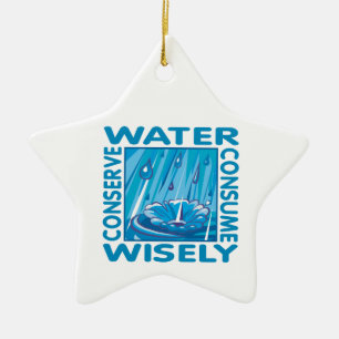 Water Conservation Ceramic Ornament