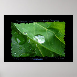 WATER CONSERVATION Leaf Drop Eco Poster