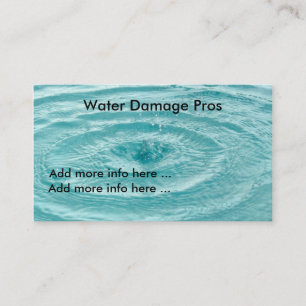 Water damage pros Business Card