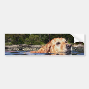 Water Dog - Bumpersticker Bumper Sticker