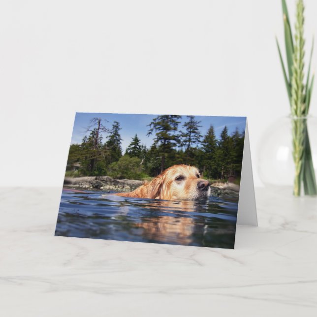 Water Dog - Cards (Front)