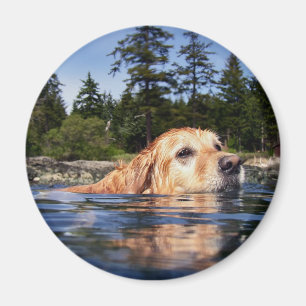 Water Dog - MAgnet