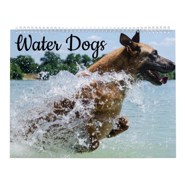 Water Dogs Calendar (Cover)