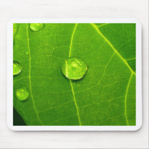 water drop on leaves mouse pad