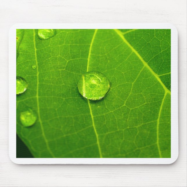 water drop on leaves mouse pad (Front)