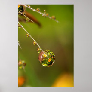 Water Droplet Close Up Poster