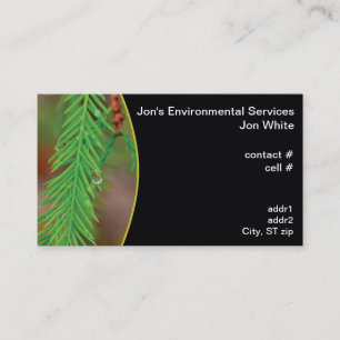 Water droplet on bald cypress foliage business card