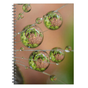 Water Droplet Reflection Notebook