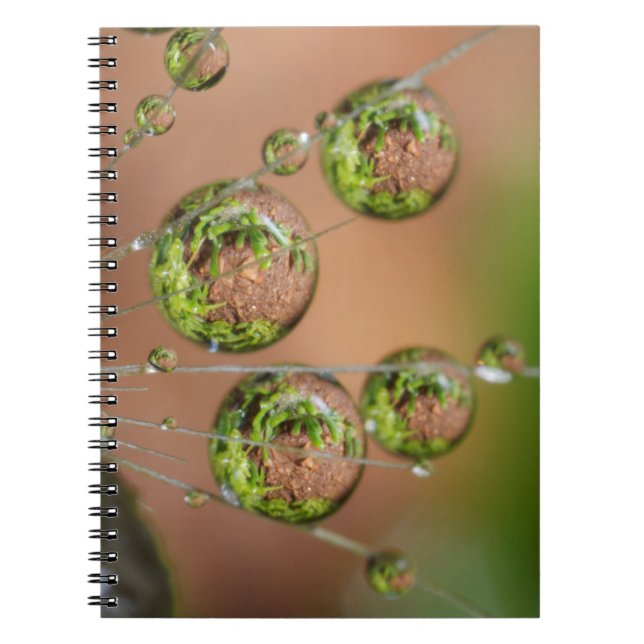 Water Droplet Reflection Notebook (Front)