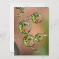 Water Droplet Reflection