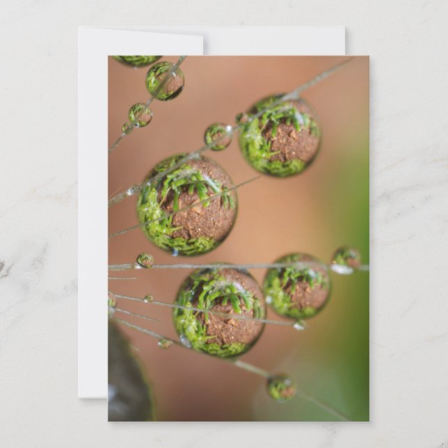 Water Droplet Reflection Thank You Card (Front)