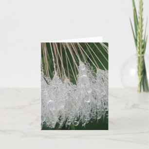 Water droplets holiday card