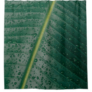 Water droplets on banana leaf