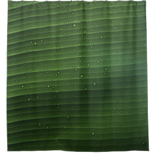 Water droplets on green leaf