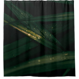 WATER DROPLETS ON GREEN LEAF