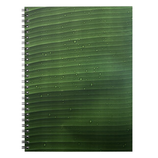 Water droplets on green leaf notebook (Front)