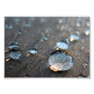 Water Droplets Photo Print