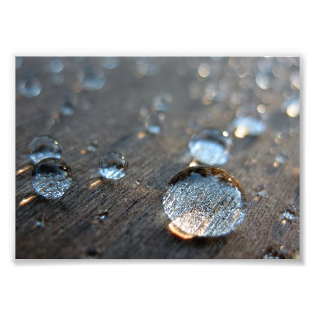 Water Droplets Photo Print (Front)