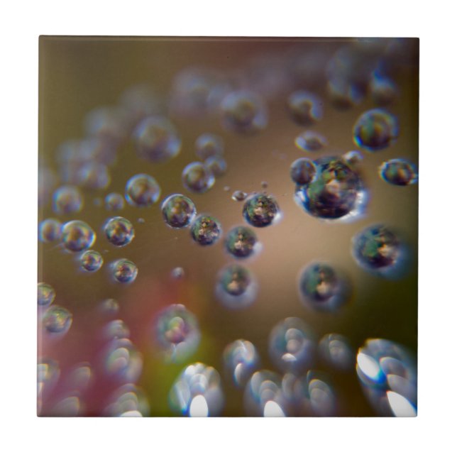 Water Droplets-Water in Motion Tile (Front)