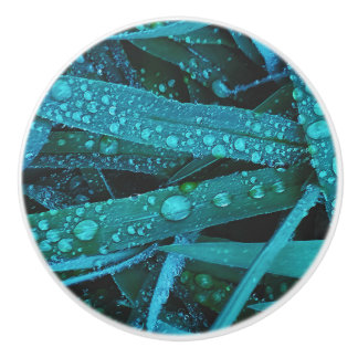 Water Drops Along the Grass Ceramic Knob