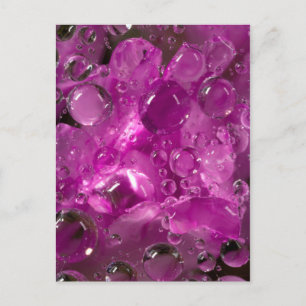 Water drops on flower, California Postcard