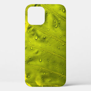 Water drops on green leaf iPhone 12 case